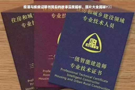 疫苗与疾病证明书背后的故事深度解析，图片大全揭秘?⚡️