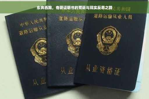 东奔西跑，奇葩证明书的荒诞与现实反思之路