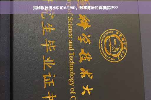 揭秘银行流水中的ATMP，数字背后的真相解析??