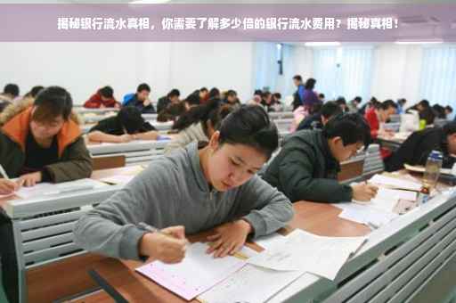 揭秘银行流水真相，你需要了解多少倍的银行流水费用？揭秘真相！