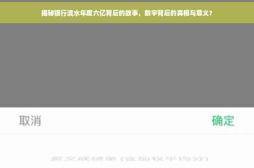 揭秘银行流水年度六亿背后的故事，数字背后的真相与意义?