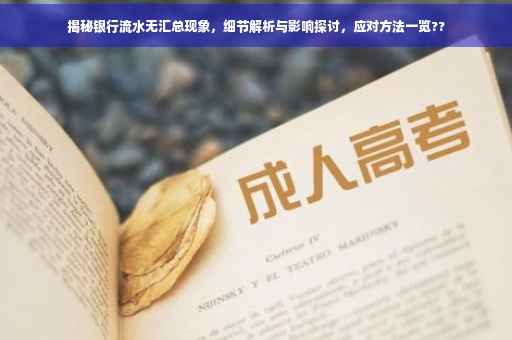 揭秘银行流水无汇总现象，细节解析与影响探讨，应对方法一览??