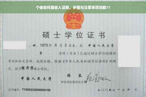 个体如何查收入证明，步骤与注意事项详解??