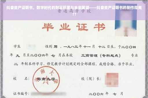 抖音资产证明书，数字时代的财富积累与未来展望——抖音资产证明书的制作指南 ??