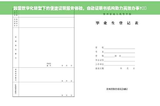 韩国数字化转型下的便捷证明服务体验，自动证明书机构助力高效办事?⚡️