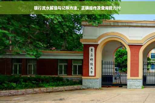 银行流水解读与记账方法，正确操作及查询能力??