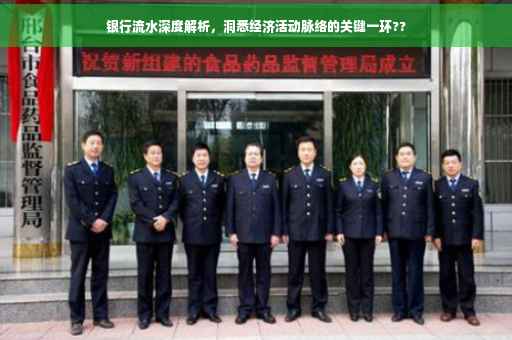 银行流水深度解析，洞悉经济活动脉络的关键一环??
