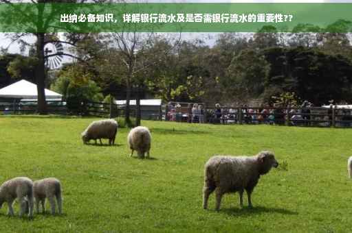 出纳必备知识，详解银行流水及是否需银行流水的重要性??