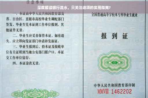 深度解读银行流水，只关注进项的实用指南?
