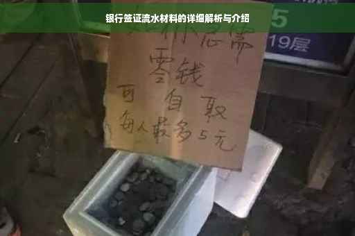 银行签证流水材料的详细解析与介绍