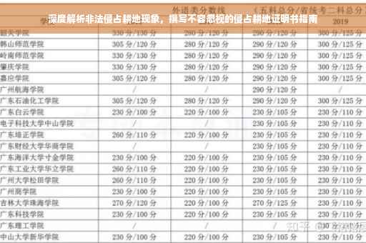 深度解析非法侵占耕地现象，撰写不容忽视的侵占耕地证明书指南