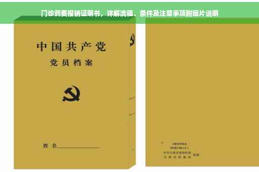 门诊药费报销证明书，详解流程、条件及注意事项附图片说明