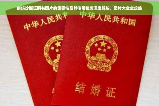 创伤诊断证明书图片的重要性及其使用情境深度解析，图片大全全攻略