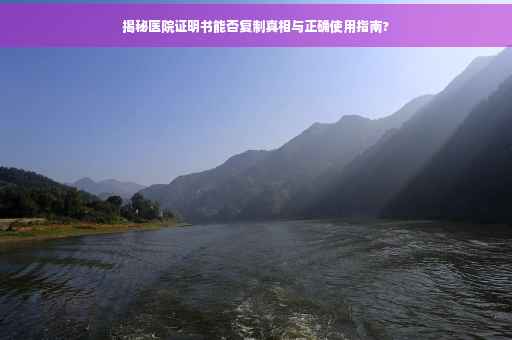 揭秘医院证明书能否复制真相与正确使用指南?