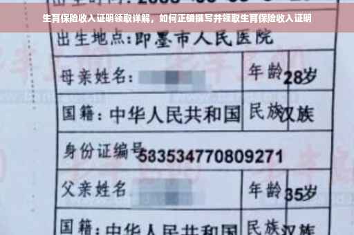 生育保险收入证明领取详解，如何正确撰写并领取生育保险收入证明