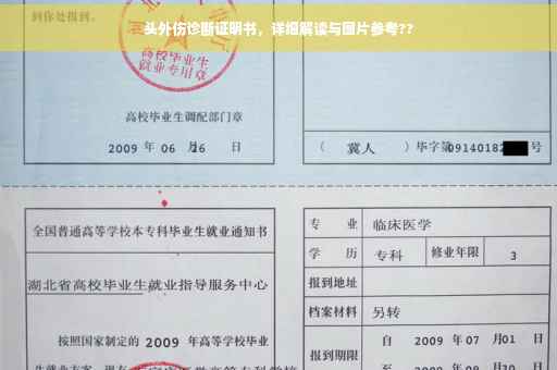 头外伤诊断证明书，详细解读与图片参考??