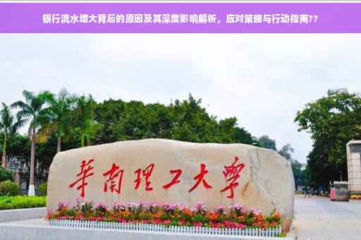 银行流水增大背后的原因及其深度影响解析，应对策略与行动指南??