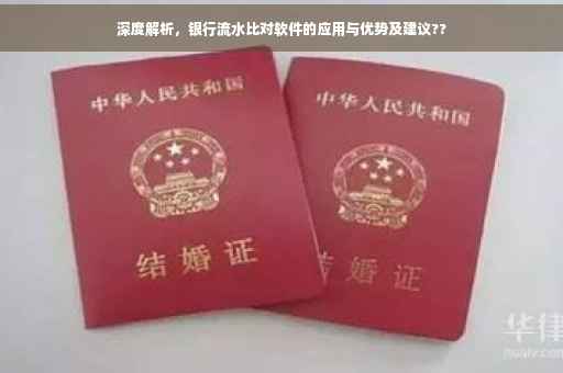 深度解析，银行流水比对软件的应用与优势及建议??