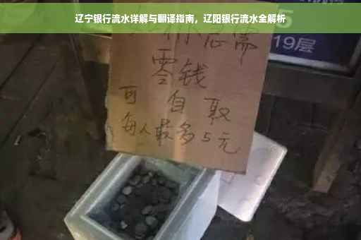 辽宁银行流水详解与翻译指南，辽阳银行流水全解析