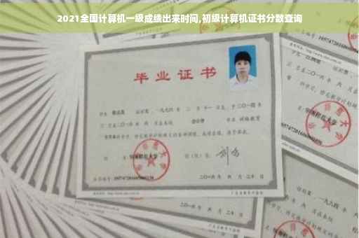 2021全国计算机一级成绩出来时间,初级计算机证书分数查询