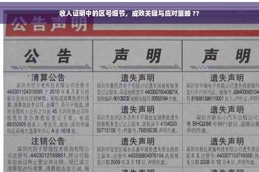 收入证明中的区号细节，成败关键与应对策略 ??