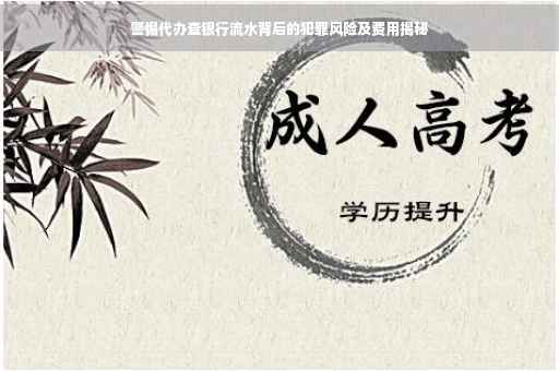 警惕代办查银行流水背后的犯罪风险及费用揭秘