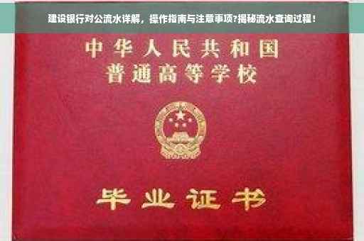建设银行对公流水详解，操作指南与注意事项?揭秘流水查询过程！