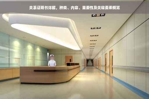 关系证明书详解，种类、内容、重要性及关键要素概览