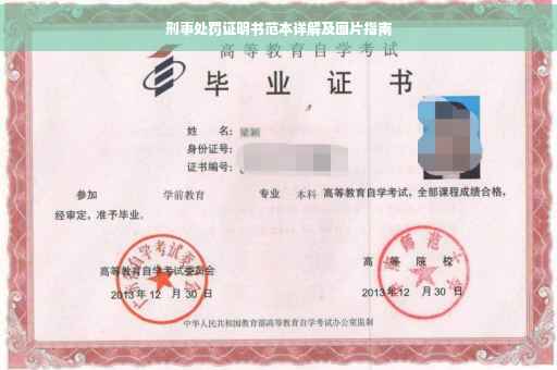 刑事处罚证明书范本详解及图片指南