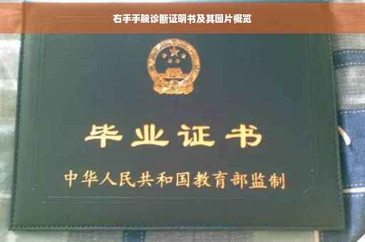 右手手腕诊断证明书及其图片概览