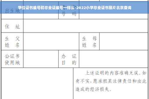 学位证书编号和毕业证编号一样么-2022小学毕业证书图片北京查询