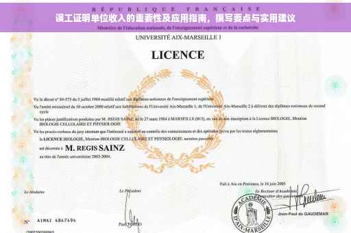 误工证明单位收入的重要性及应用指南，撰写要点与实用建议