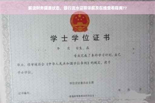 解读财务健康状态，银行流水证明详解及在线查看指南??