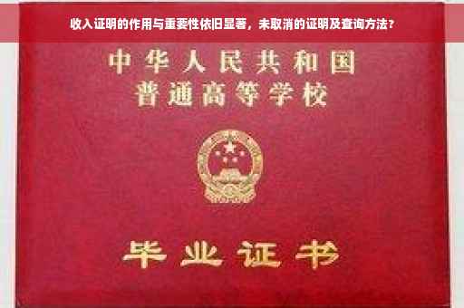 收入证明的作用与重要性依旧显著，未取消的证明及查询方法?