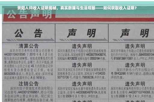 贵阳人均收入证明揭秘，真实数据与生活观察——如何获取收入证明？