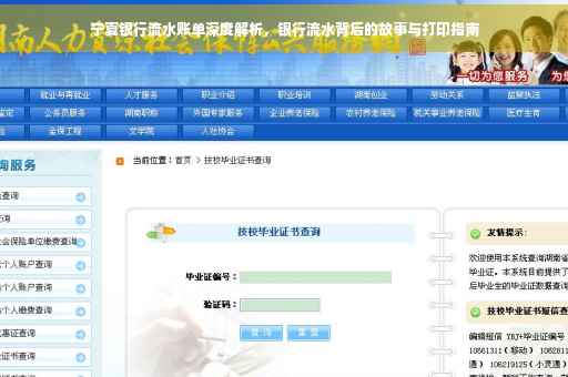 宁夏银行流水账单深度解析，银行流水背后的故事与打印指南