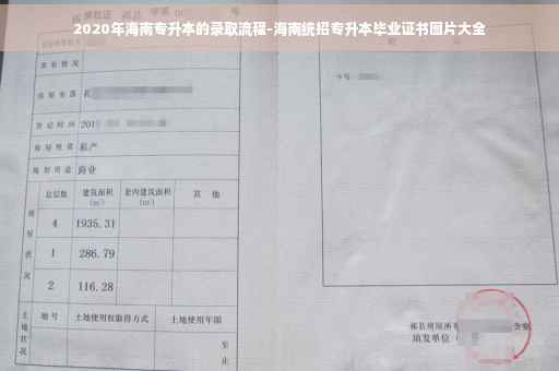 2020年海南专升本的录取流程-海南统招专升本毕业证书图片大全