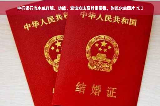 中行银行流水单详解，功能、查询方法及其重要性，附流水单图片 ?⚡️