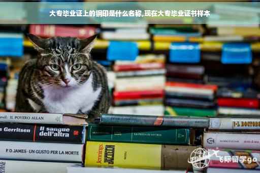 大专毕业证上的钢印是什么名称,现在大专毕业证书样本
