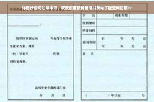 详细步骤与注意事项，获取疫苗接种证明书及电子版查询指南??