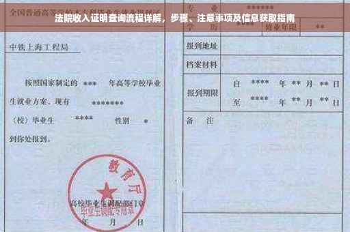 法院收入证明查询流程详解，步骤、注意事项及信息获取指南