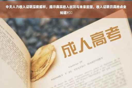 中天人力收入证明深度解析，揭示真实收入状况与未来前景，收入证明开具地点全知道?⚡️