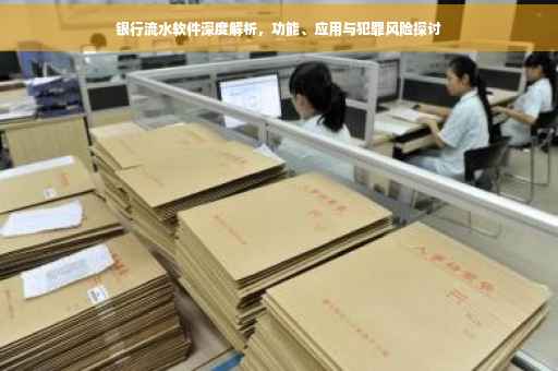 银行流水软件深度解析，功能、应用与犯罪风险探讨