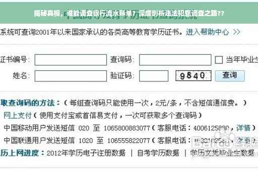 揭秘真相，谁能调查银行流水账单？深度剖析违法犯罪调查之路??