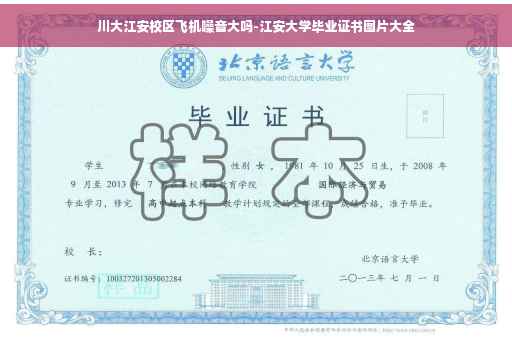 川大江安校区飞机噪音大吗-江安大学毕业证书图片大全