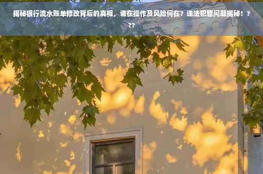 揭秘银行流水账单修改背后的真相，谁在操作及风险何在？违法犯罪问题揭秘！???