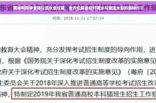 揭秘税局审查银行流水全过程，全方位解读应对建议与查流水目的揭秘?⚡️