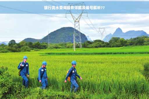 银行流水查询服务详解及编号解析??