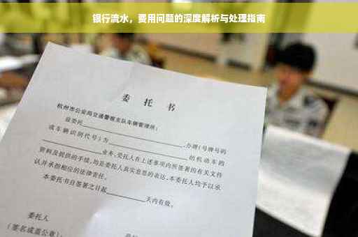 银行流水，费用问题的深度解析与处理指南