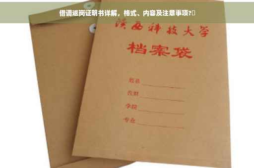 借调返岗证明书详解，格式、内容及注意事项?✨